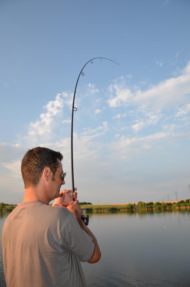 Fotografii de profil - av-4.jpg